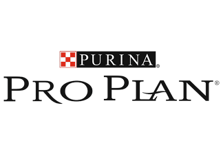 Pro Plan