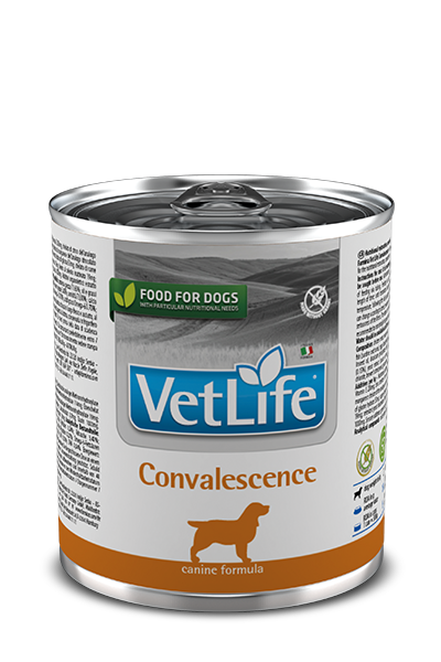 373_18_vet-life-canine-convalescence-300g@web